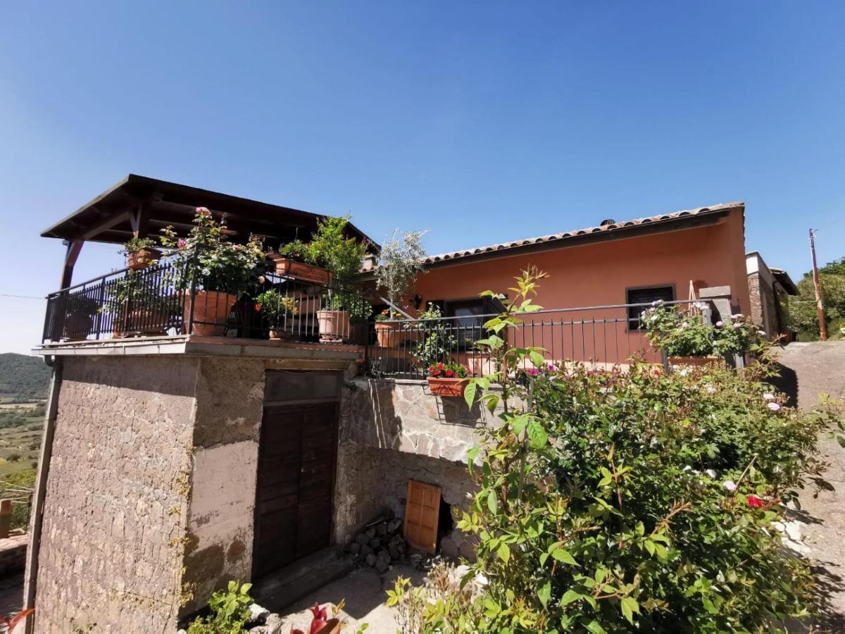 La Fenice Montefiascone Exterior foto